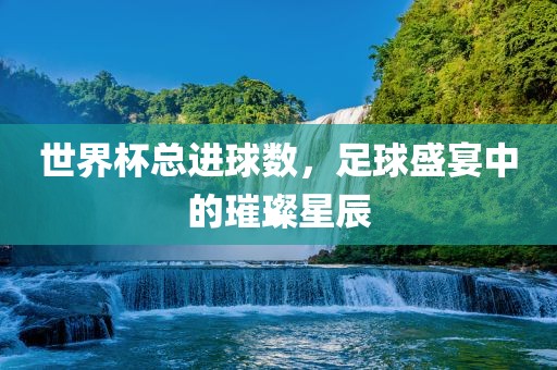 世界杯总进球数，足球盛宴中的璀璨星辰