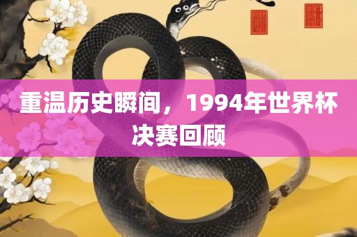 历史瞬间回顾