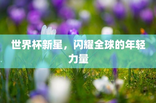 世界杯新星，闪耀全球的年轻力量