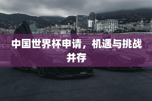 中国世界杯申请，机遇与挑战并存