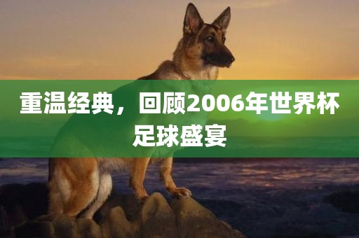 重温经典，回顾2006年世界杯足球盛宴漯河市盈旭机械设备有限公司