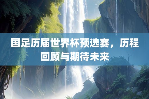 国足历届世界杯预选赛，历程回顾与期待未来