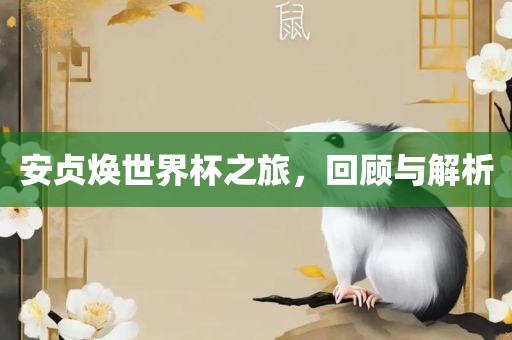 安贞焕世界杯之旅，回顾与解析