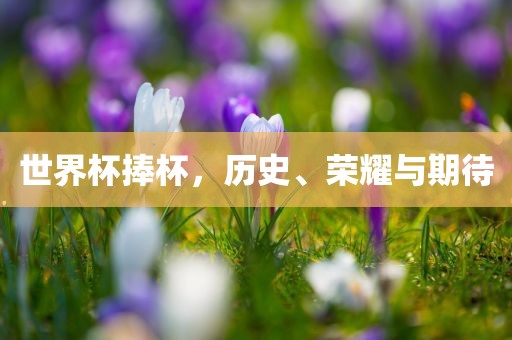世界杯捧杯，历史、荣耀与期待