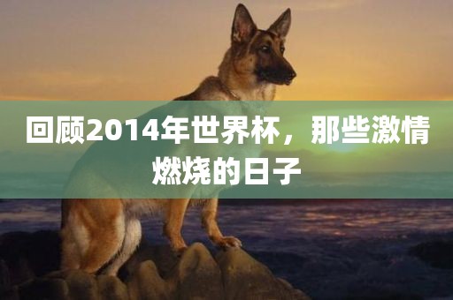 回顾2014年世界杯，那些激情燃烧的日子