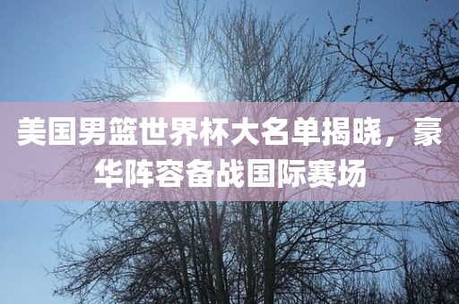 美国男篮世界杯大名单揭晓，豪华阵容备战国际赛场