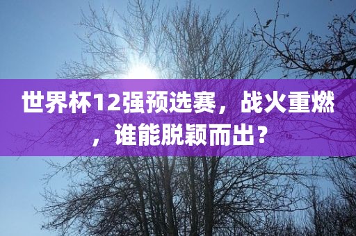 世界杯12强预选赛，战火重燃，谁能脱颖而出？