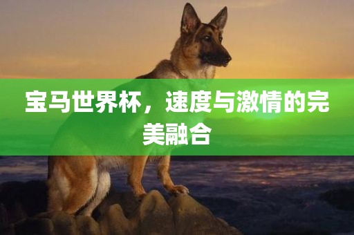 宝马世界杯，速度与激情的完美融合