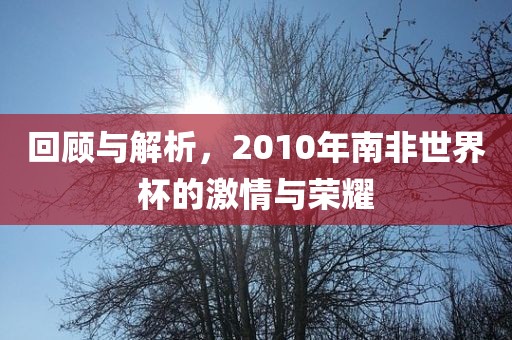 回顾与解析，2010年南非世界杯的激情与荣耀漯河市盈旭机械设备有限公司