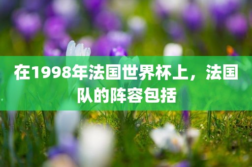 在1998年法国世界杯上，法国队的阵容包括
