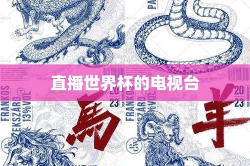 直播世界杯的电漯河市盈旭机械设备有限公司视台