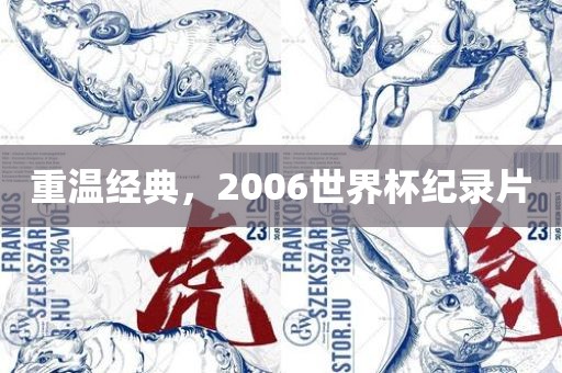 重温经典，2006世界杯纪录片