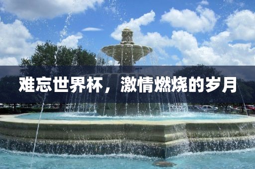 难忘世界杯，激情燃烧的岁漯河市盈旭机械设备有限公司月