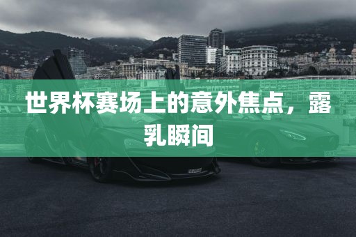 世界杯赛场上的意外焦点，露乳瞬间漯河市盈旭机械设备有限公司