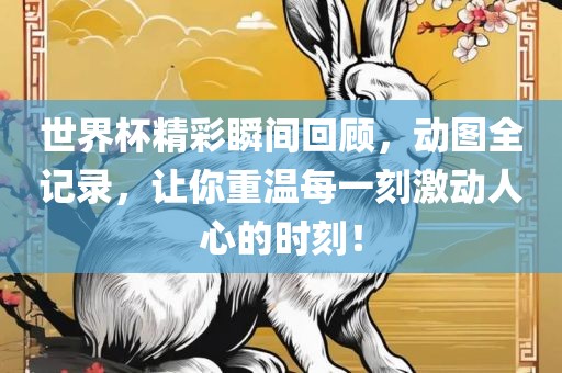 世界杯精彩瞬间回顾，动图全记录，让你重温每一刻激动人心的时刻！