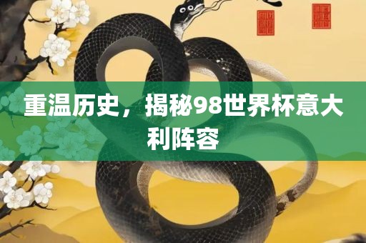 重温历史，揭秘98世界杯意大利阵容