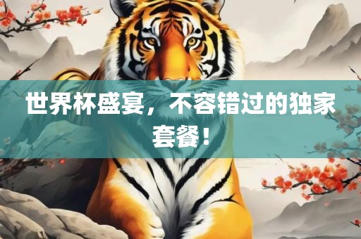 世界杯盛宴，不容错过的独家套餐！