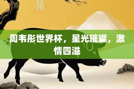 周韦彤世界杯，星光璀璨，激情四溢