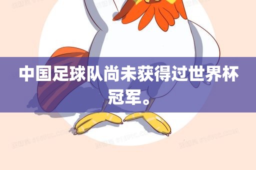 中国足球队尚未获得过世界杯冠军。漯河市盈旭机械设备有限公司