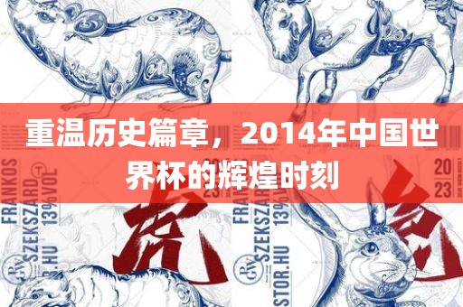 重温历史篇章，2014年中国世界杯的辉煌时刻
