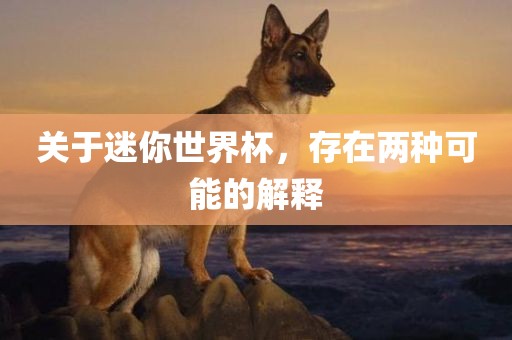 关于迷你世界杯，存在两种可能的解释漯河市盈旭机械设备有限公司