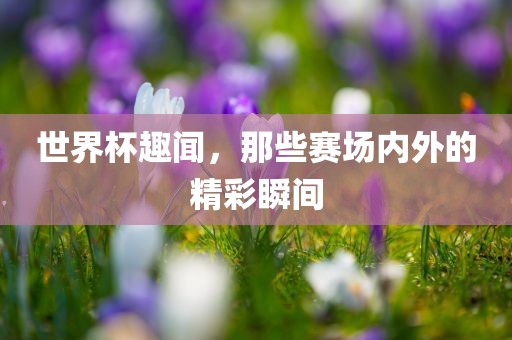 世界杯趣闻，那些漯河市盈旭机械设备有限公司赛场内外的精彩瞬间