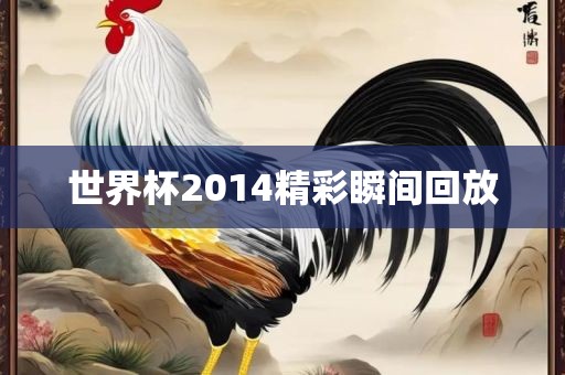 世界杯2014精彩瞬间回放