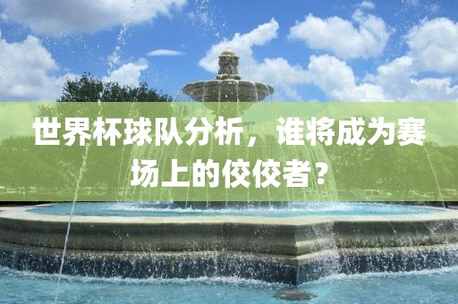 世界杯球队分析，谁将成为赛场上的佼佼者？