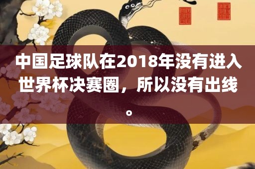 中国足球队在2018年没有进漯河市盈旭机械设备有限公司入世界杯决赛圈，所以没有出线。