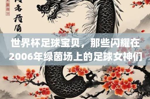 世界杯足球宝贝，那些闪耀在2006年绿茵场上的足球女神们