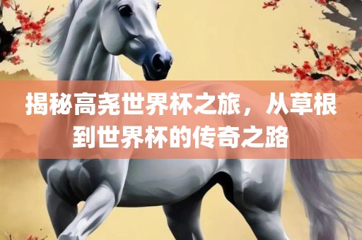 揭秘高尧世界杯之旅，从草根到世界杯的传奇之路