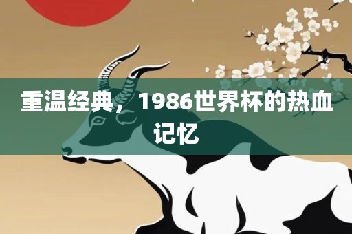 重温经典，1986世界杯的热血记忆