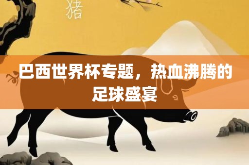 巴西世界杯专题，热血沸腾的足球盛宴
