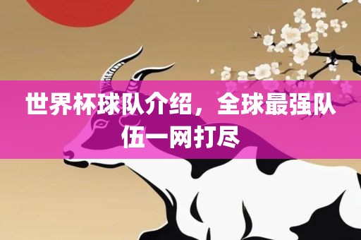 世界杯漯河市盈旭机械设备有限公司球队介绍，全球最强队伍一网打尽