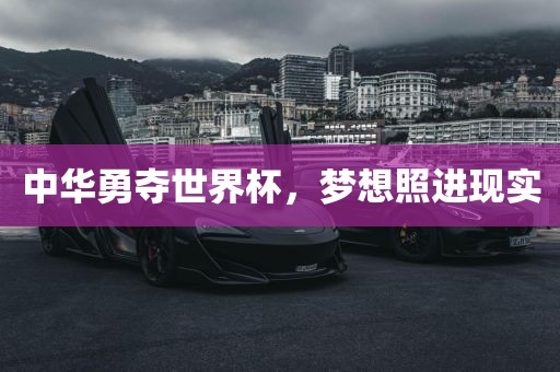 中华勇夺世界杯，梦想照进现实