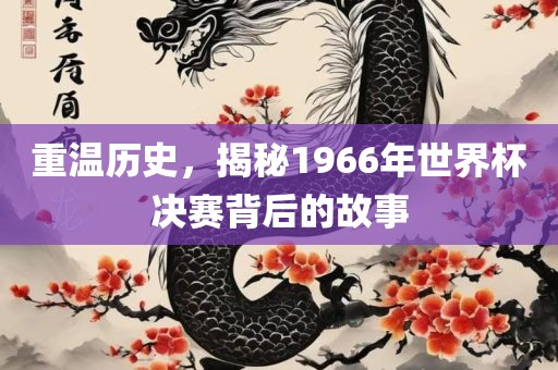 重温历史，揭秘1966年世界杯决赛背后的故事
