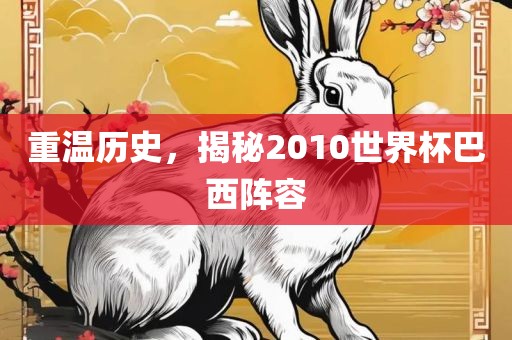 重温历史，揭秘2010世界杯巴西阵容