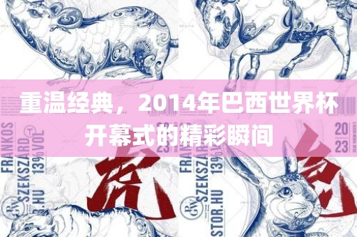 重温经典，2014年巴西世界杯开幕式的精彩瞬间
