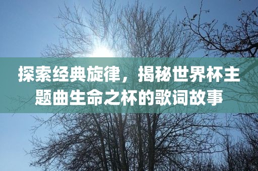 探索经典旋律，揭秘世界杯主题曲生命之杯的歌词故事