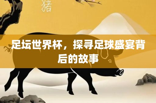 足坛世界杯，探寻足球盛宴背后的故事