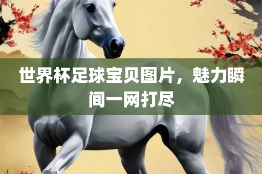 世界杯足球宝贝图片，魅力瞬间一网打尽