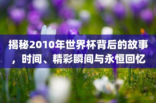 揭秘20漯河市盈旭机械设备有限公司10年世界杯背后的故事，时间、精彩瞬间与永恒回忆