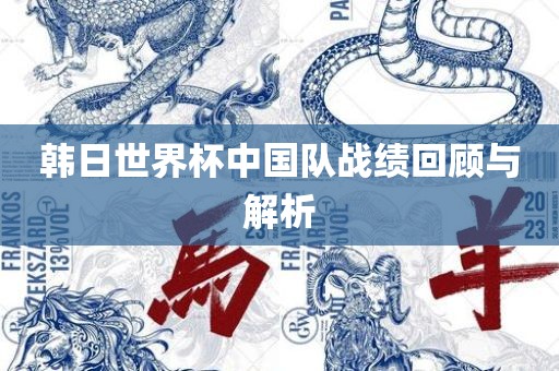 韩日世界杯中国队战绩回顾与解析