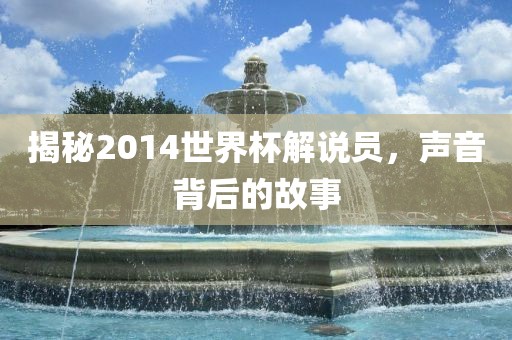 揭秘2014世界杯解说员，声音背后的故事