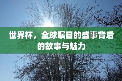 世界杯，全球瞩目的盛事背后的故事与魅力