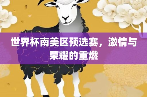 世界杯南美区预选赛，激情与荣耀的重燃