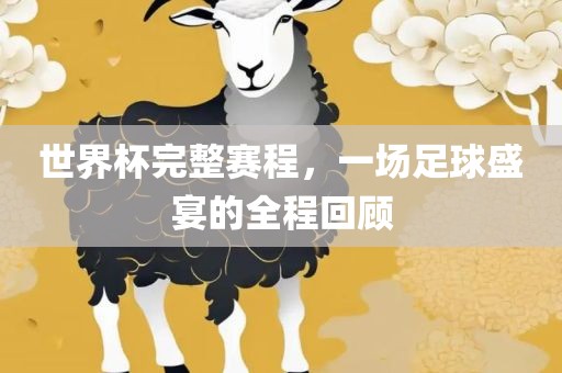 世界杯完整赛程，一场足球盛宴的全程回顾