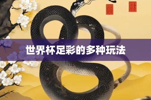 世界杯足彩的多种玩法