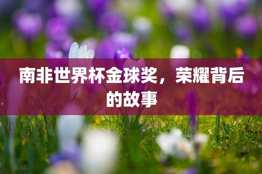 南非世界杯金球奖，荣耀背后的故事