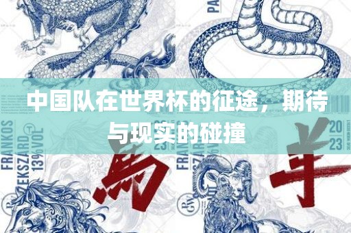 中国队在世界杯的征途，期待与现实的碰撞
